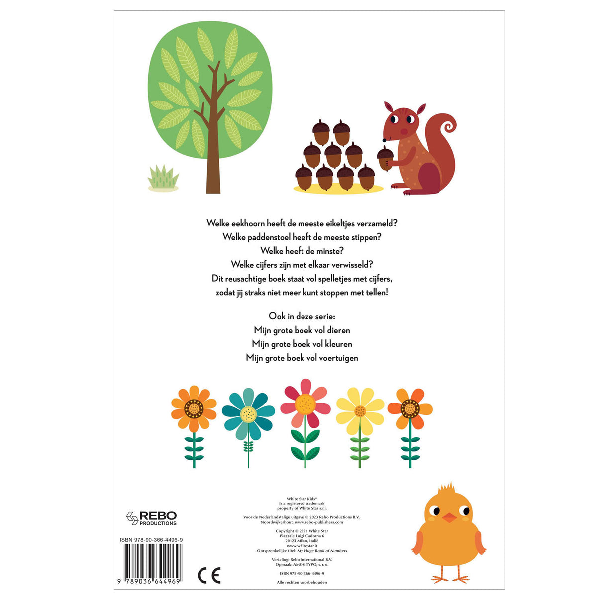 Rebo editori il mio grande libro pieno di figure