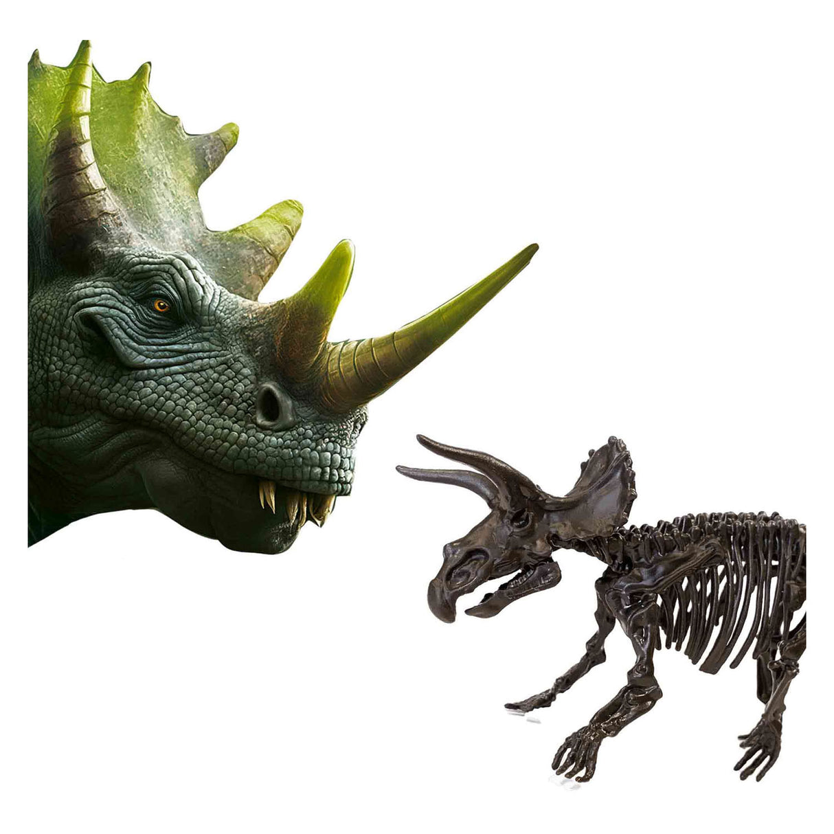 SES Prozkoumejte Dino a Skeleton Expavated 2in1 - Triceratops