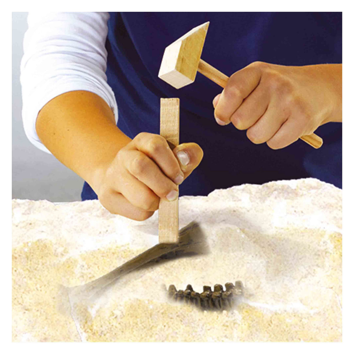 SES Explore Dino y Skeleton excavados 2in1 - Triceratops
