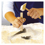 SES Explore Dino y Skeleton excavados 2in1 - Triceratops