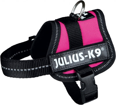 Julius K9 Power-Harnas Tuig For Labels Fuchsia