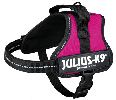 Juliius k9 Power-Harnas Tuig fir Etiketten Fuchsien