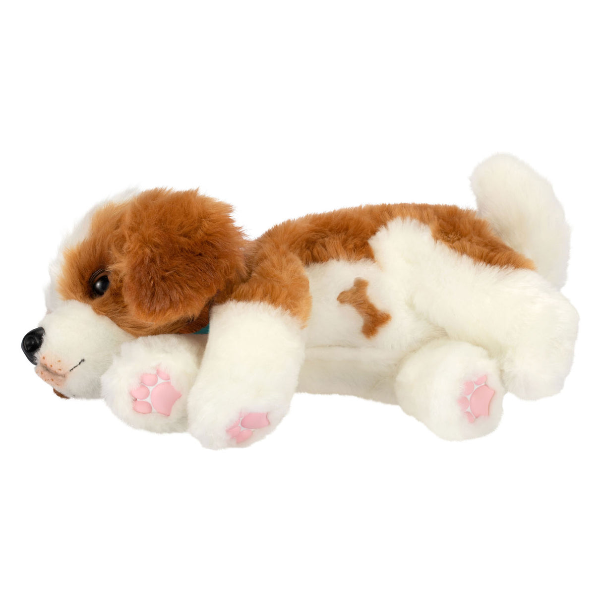 Pequeñas mascotas en vivo mi abrazo de cachorro realmente real en loft