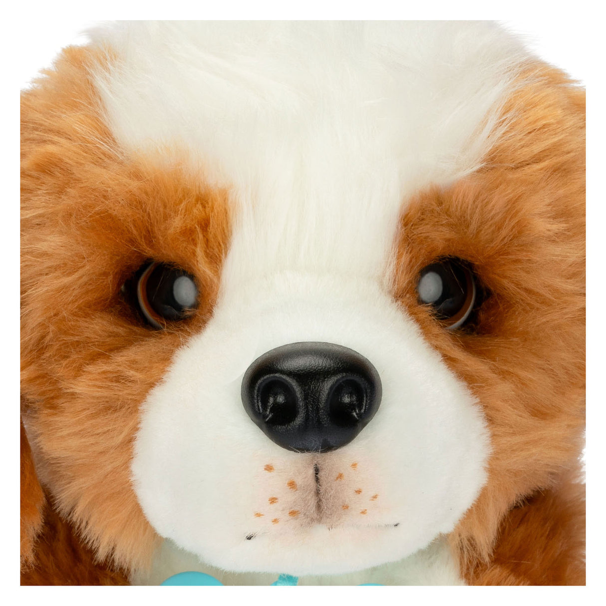 Pequeñas mascotas en vivo mi abrazo de cachorro realmente real en loft