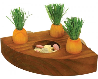 Jouets de carottes en palissandre et support de collation