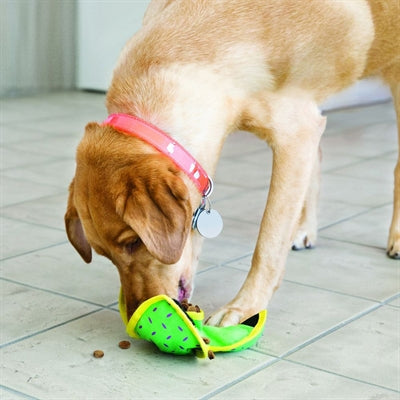 Kong Ballistic Hide 'n Treat Assorti