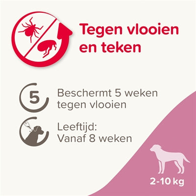 Beaphar FiProtec Hond géint Zeechnen a Fléi