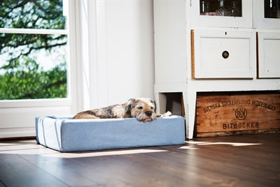 Zappe di cotone bia per cesto blu hond
