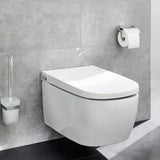 Kleiner Wolke Toilettenrollhalter mit Deckel Meo Silberfarbe