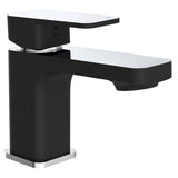 Schütte schütte washbasin misto madasgaskar cromo -colorato e nero opaco