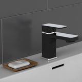 Schütte schütte washbasin misto madasgaskar cromo -colorato e nero opaco