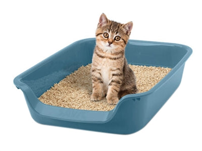 Savic Junior Cat Box blu