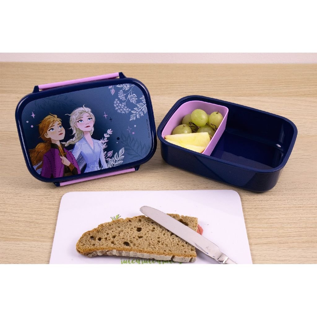 Undercover Disney Frozen Lunchbox