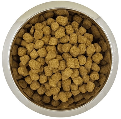 YourDog Royal Puodle Dorel