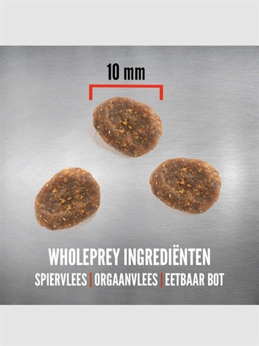 Orijen ganze Beute 6 Fischkatze