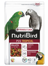 Nutipddr p15 tropesch Ënnerhaltsfeed