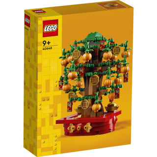LEGO iconico 40648 Geldboom