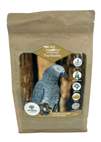 Utopia Parrots African Top Quality