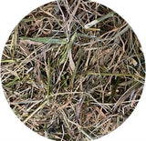 Utopia Timothy Hooi with parsley