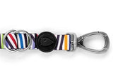 Morso Hond Belt just erfëllt recycléiert Spaghetti Tëschefall