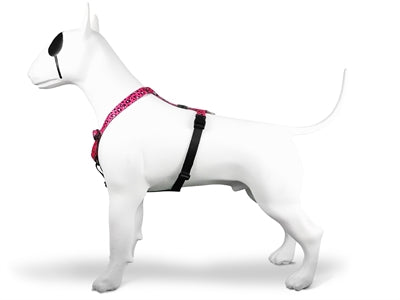 MORSO DOG HARNESS H-HEM Recyclé Bubble Leo Pink