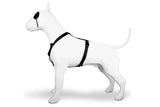 Morso Hond Hiemness H-hirem recycléiert Gold Camiar Gold