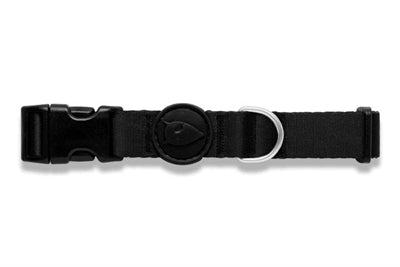 MORSO Collar Dog recyclé Pureness noir