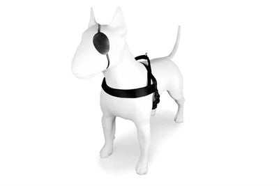 MORSO Norwegian Dog plus recyclé recyclé noir