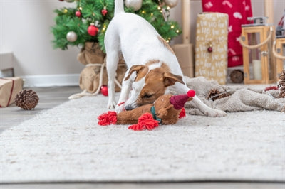 Trixie Xmas Rendier Plush Flosouw