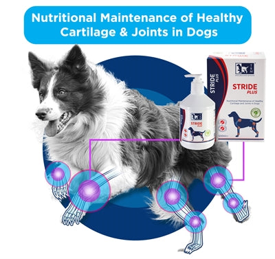 TRM Stride Plus