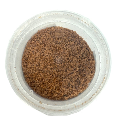 Zvířecí drogist Krill