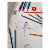 Stabilo Original faarweg Bleistift Metalbox, 38st.
