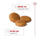 Royal Canin Canin Medium Erwachsener