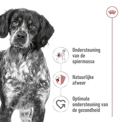 Royal Canin Canin Medium Erwachsener
