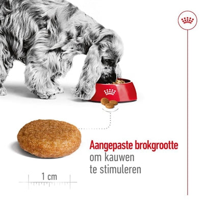 Royal Canin Canin Medium Erwachsener