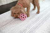 JW Hol-Ee Roller Trend-Ee Pink