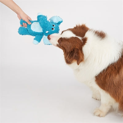 Foos though toy Elphant