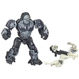 Hasbro Transformerji Rise of The Beasts Oroke Action Figures Optimus Primal ArrowStripe