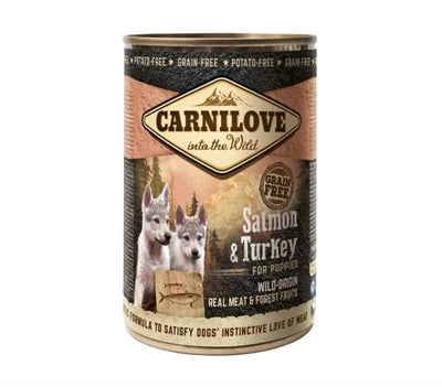 Carnilove Hond kann Salmy Tierkei fir Welpen