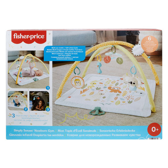 Fisherova cena jednoduše snímá babygym