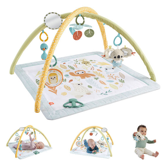 Fisherova cena jednoduše snímá babygym