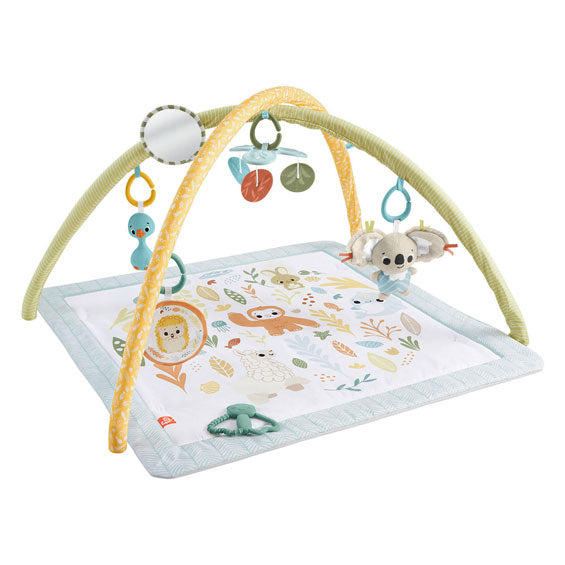 Fisherova cena jednoduše snímá babygym