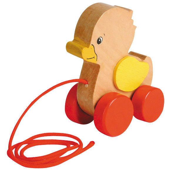 Goki migratory animal duck