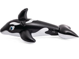 Opblaasbare walvis groot model