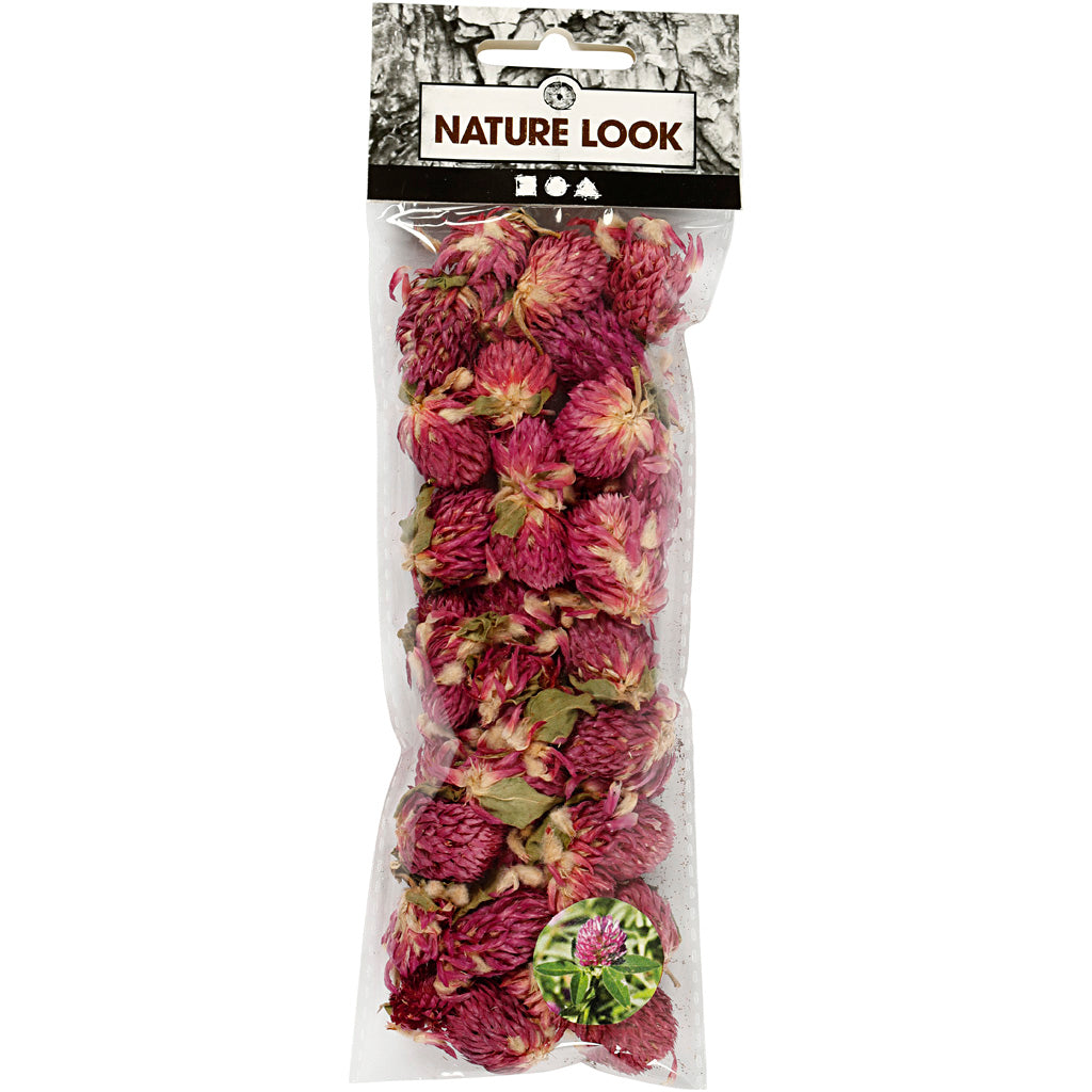 Creativ Company Dried Flowers Red Clover Purple, 15gr