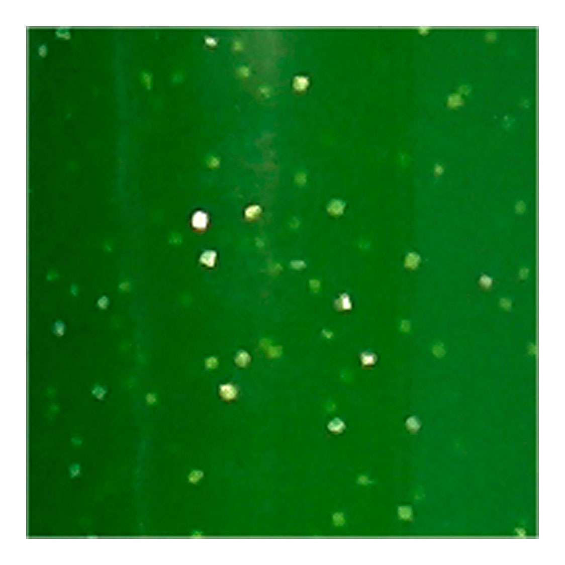 Creativ Company Glass and Porcelain Démarrage des paillettes semi-couverture - vert clair