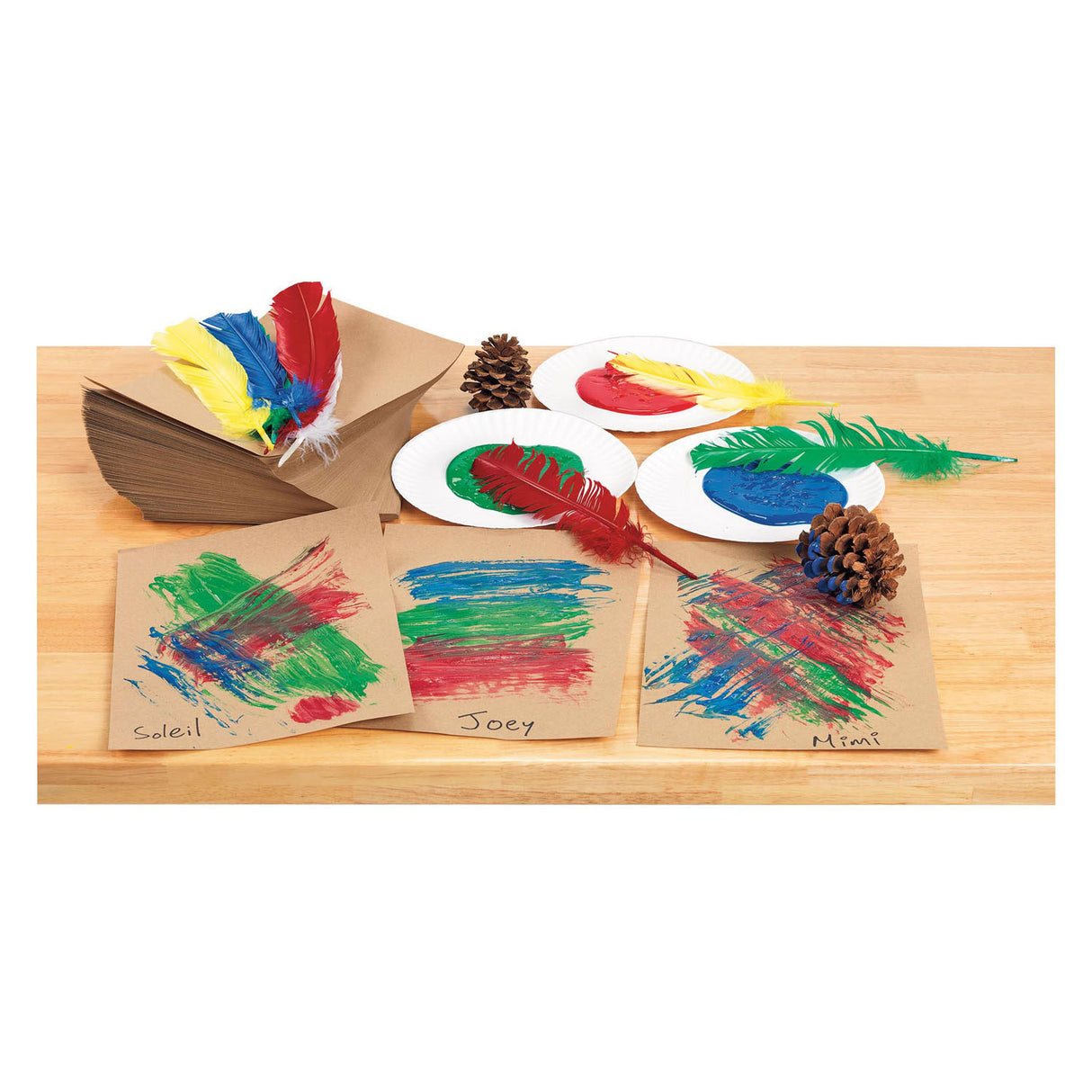 Colorations - Feathers 30cm, set of 24