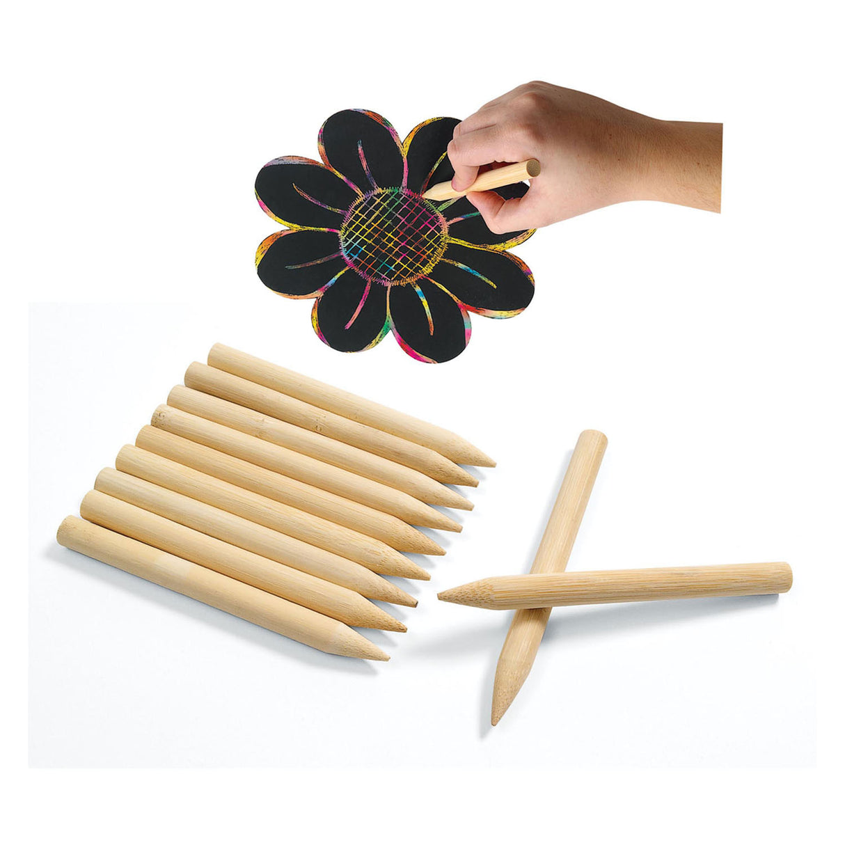 Färbung - Holzkrapsen, Set von 48