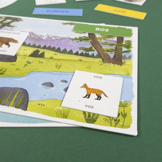 Jumbo I learn to discover animal educational game