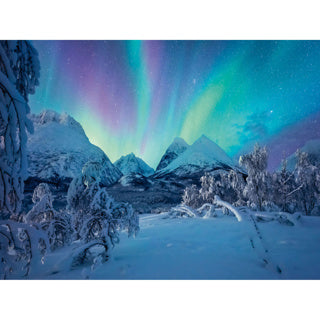 RAVENSBURGER JIGSAW puzzle Wenn Die Nordlicher Tanzen, 1500st.